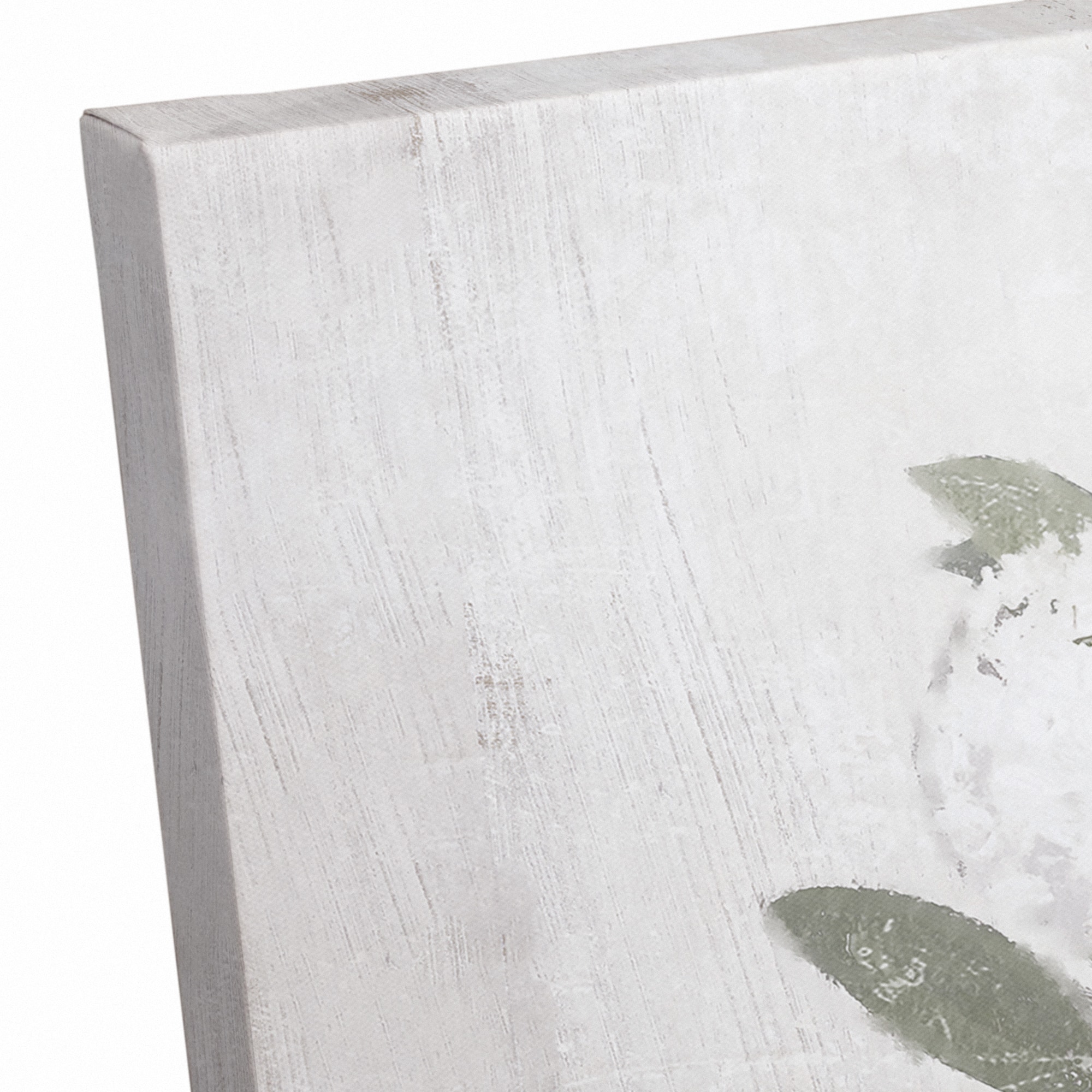 White Hydrangeas 30" x 24" Canvas Wall Art